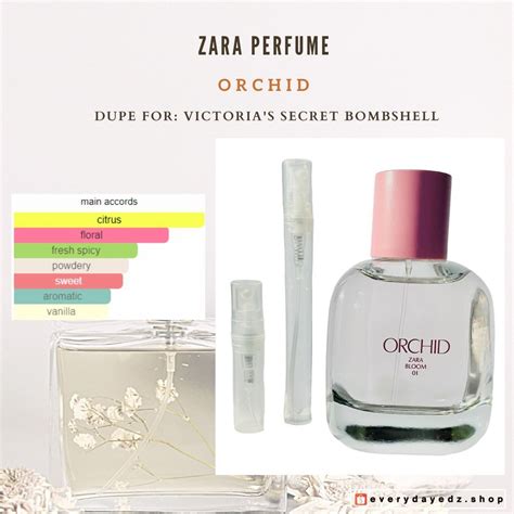 dupe zara chloe|zara orchid dupe.